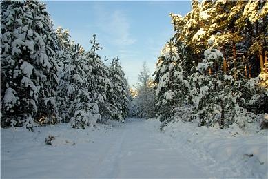 《重返猴岛》现已登陆移动端平台 上市宣传片欣赏
