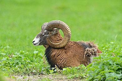 为玩而生！阿狗社官宣2025盛夏活动巡游季宣传大片