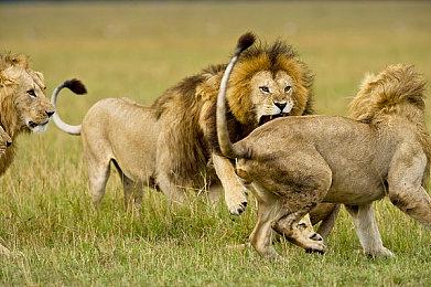 《偶像经理人》将追加登陆PS4＆5平台  8月25日发售 